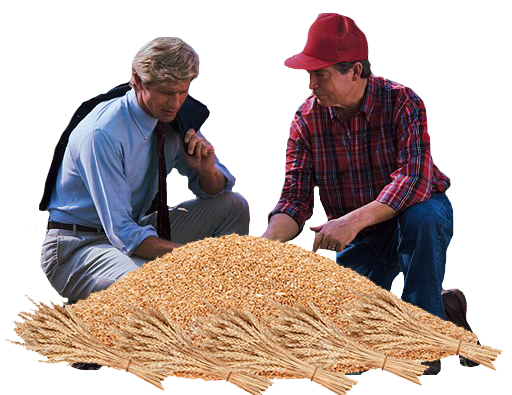 grow your grain images